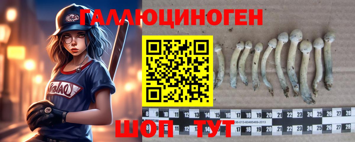 Новоалтайск  Псилоцибиновые грибы прущие грибы  Вход с VPN 